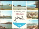 Greetings From BERMAGUI New South Wales Australia - Autres & Non Classés