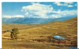 USA, Grazing Land In Montana, 1950s–1960s Unused Postcard [P8155] - Andere & Zonder Classificatie