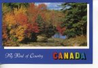 CA089 - CANADA - Splendeur D'Automne Canadienne - Modern Cards