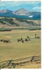 USA, Montana, Land Of The Big Sky, Unused Postcard [P8162] - Andere & Zonder Classificatie