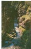 USA, Sunrift Gorge & Baring Creek, Glacier National Park, Unused Postcard [P8172] - USA Nationalparks