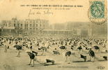 CPA GYMNATIQUE XXXIII ème Fête Fédérale De GYMNASTIQUE Clermont-Ferrand 1907 - Gymnastique