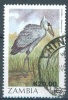 ZAMBIA - OBLIT/USED - 1987 - OISEAUX BIRDS BALAENICEPS REX  - Yv 398 Lot 5421 - Zambie (1965-...)