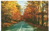 USA, Fall In Vermont, 1960 Dated, Unused Postcard [P8180] - Otros & Sin Clasificación