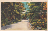 Greetings From Beecher Falls Vermont - 2 Scans - VG Condition - Other & Unclassified