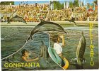 Zs28094 Constanta Delphinarium Dauphins Dolphins Ponticus 25x15 Cm  Not Used Back Scan Available At Request - Dauphins