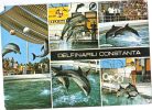 Zs28096 Constanta Delphinarium Dauphins Dolphins Ponticus 25x15 Cm  Not Used Back Scan Available At Request - Dolfijnen