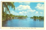 USA, Beautiful Tropical Lagoon, Whiskey Creek, Ft. Myers, Florida, Unused Postcard [P8230] - Fort Myers
