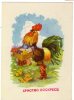 Animals And Fauna / Rooster / Cock / Coq / Postcard - Hühnervögel & Fasanen