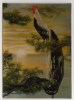 Animals And Fauna / Rooster / Cock / Coq / Postcard 3D - Gallinaceans & Pheasants