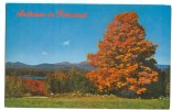 USA, Autumn In Vermont, Unused Postcard [P8246] - Otros & Sin Clasificación