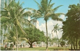 Looking From Bayfront Park At Biscayne Blvd. Heart Of Miami, Florida - S-2 - Miami