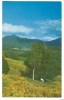 USA, Camel's Hump, Vermont's Green Mountains, Unused Postcard [P8265] - Other & Unclassified