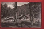 X0629 Col Des Planches Sur Martigny,Henchoz-Tornay,enfant Sur Balançoire.Cachet 1960.Artag 3590 - Martigny