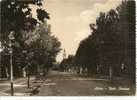 VENETO - ADRIA (ROVIGO) - Viale Stazione - VG 1950 - Rovigo