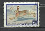 USSR 1960 - RABBIT- USED OBLITERE GESTEMPELT USADO - Lapins