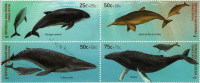 Argentina / Animals / Water Animals / Dolphins / Whales - Nuovi