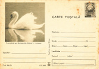 SWAN, 1970, CARD STATIONERY, ENTIER POSTAL, UNUSED, ROMANIA - Schwäne