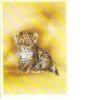 BC61202 Animals Animaux Tiger Tigre Petit Not Used Perfect Shape Back Scan At Request - Tigres