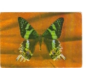 BC61272 Animals Animaux Papillons Butterfly Not Used Perfect Shape Back Scan At Request - Schmetterlinge