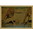 BC61290 Animals Animaux Girafes Giraffes Not Used Perfect Shape Back Scan At Request - Jirafas