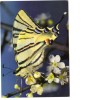BC61329 Animals Animaux Papillon Butterfly Not Used Perfect Shape Back Scan At Request - Schmetterlinge