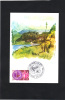 France  FDC  Carte Maximum Yvert N° 2302 - Guadeloupe - Other & Unclassified