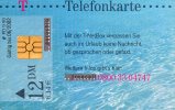 TELECARTE T 12 DM - T NET BOX 09/99 - [2] Móviles Tarjetas Prepagadas & Recargos