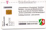 TELECARTE T 12 DM - FREUDENBERG 03/03 - Cellulari, Carte Prepagate E Ricariche