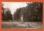 D41 - MARCHENOIR - MONUMENT AUX MORTS (CPSM) - Marchenoir