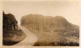 Giant's Causeway ; En Irlandais : Clochán Na BhFómharach, Photo N°3 Papier Velox Année 1920 - Autres & Non Classés
