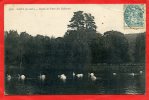 CANY 1905 DANS LE PARC DU CHATEAU CYGNE CARTE EN BON ETAT - Cany Barville