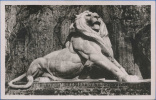 90 - BELFORT - Le Lion Symbole De La Résistance Héroïque De Belfort (1870 - 71) - Belfort – Le Lion