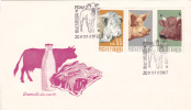 COWS, CACHES, ANIMALS, MEAT, MILK, 1962, COVER FDC, ROMANIA - Kühe