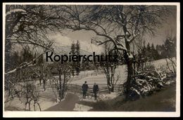 ALTE POSTKARTE VOLDERTAL RODELBAHN B. Volders Hall Tirol Schlitten Luge Traineau Sleigh Coasting Slide Winter Snow Neige - Hall In Tirol