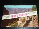 GREETING FROM GRAND CANYON - NATIONAL PARK - OURS SMOKEY - STAMP KENNEDY - ETATS-UNIS .U.S.A. - Grand Canyon