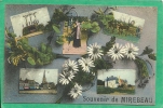 SOUVENIR DE MIREBEAU   ( 5 VUES  - ATTELAGE ANES) - Mirebeau