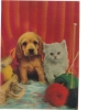 BC61514 Chats Cat Dog Chaine 3D Cartes Steroscopiques Good Shape Back Scan At Request - Estereoscópicas