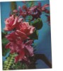 BC61540 Fleurs Flowers 3D Cartes Steroscopiques Not Good Shape Back Scan At Request - Cartes Stéréoscopiques