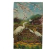BC61539 Aigrette Egrets 3D Cartes Steroscopiques  Good Shape Back Scan At Request - Stereoscope Cards