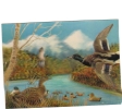 BC61600 Duck Taux 3D Cartes Steroscopiques Used Good Shape Back Scan At Request - Stereoscope Cards