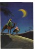 BC61599 Arabian Desert Under The Moon Deserto Con La Luna 3D Cartes Steroscopiques Used Good Shape Back Scan At Request - Stereoskopie