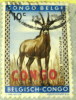 Congo 1960 Roan Antelope 10c - Used - Other & Unclassified