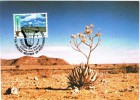 8802. Maxima Vereinten Nationen. UN. For Namibia, ONU 1991 - Cartes-maximum