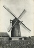 Ravels   :  De Molen  -  Windmolen        ( Groot Formaat   ) - Ravels