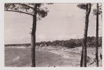 SAINT BREVIN LES PINS - N° 10 - PLAGE DE LA COURANCE - PETITS PLIS A DROITE - Saint-Brevin-les-Pins