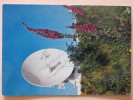 PLEUMEUR BODOU - Centre De Télécommunication Par Satellite - Antenne - Pleumeur-Bodou