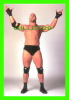 WRESTLING - LUTTE - CATCH - GOLDBERG - WCW/NWO - 1998 SUPERSTARS - No 1 - - Wrestling