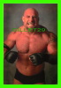 WRESTLING - LUTTE - CATCH - GOLDBERG - WCW/NWO - 1998 SUPERSTARS - No 12  - - Ringen