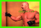 WRESTLING - LUTTE - CATCH - GOLDBERG - WCW/NWO - 1998 SUPERSTARS - No 13  - - Lutte